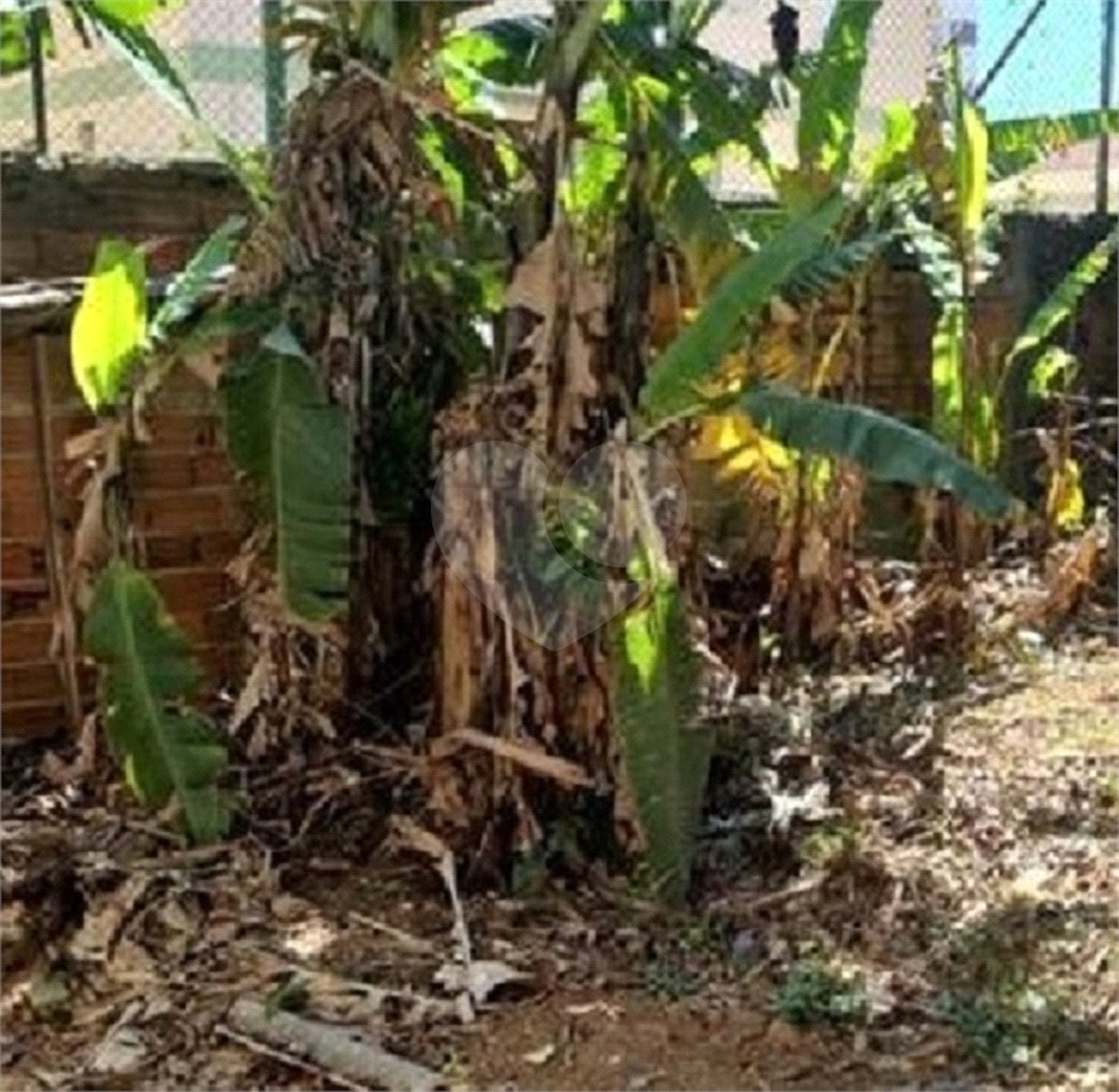 Terreno à venda em Vila Mazzei, São Paulo, SP