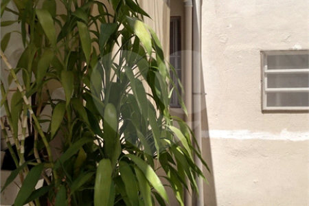 Casa à venda com 3 quartos, sendo 1 suíte, em Vila Mariana, São Paulo, SP