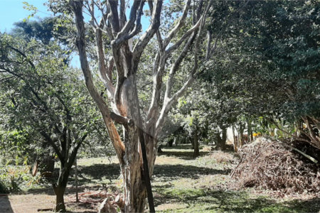 Terreno à venda em Vila Guido, Itu, SP