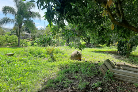 Terreno à venda em Cachoeira, Vinhedo, SP