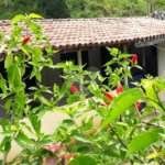 Chácara à venda com 4 quartos no Centro, São José dos Campos, SP