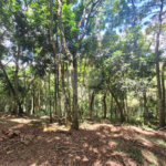 Casa à venda com 2 suítes no condomínio Alpes da Cantareira, Mairiporã - SP