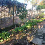 Casa à venda com 4 quartos em Vila Vilma (mailasqui), São Roque, SP
