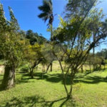 Sítio à venda com 2 quartos, sendo 1 suíte, em Ibiúna, Ibiúna, SP
