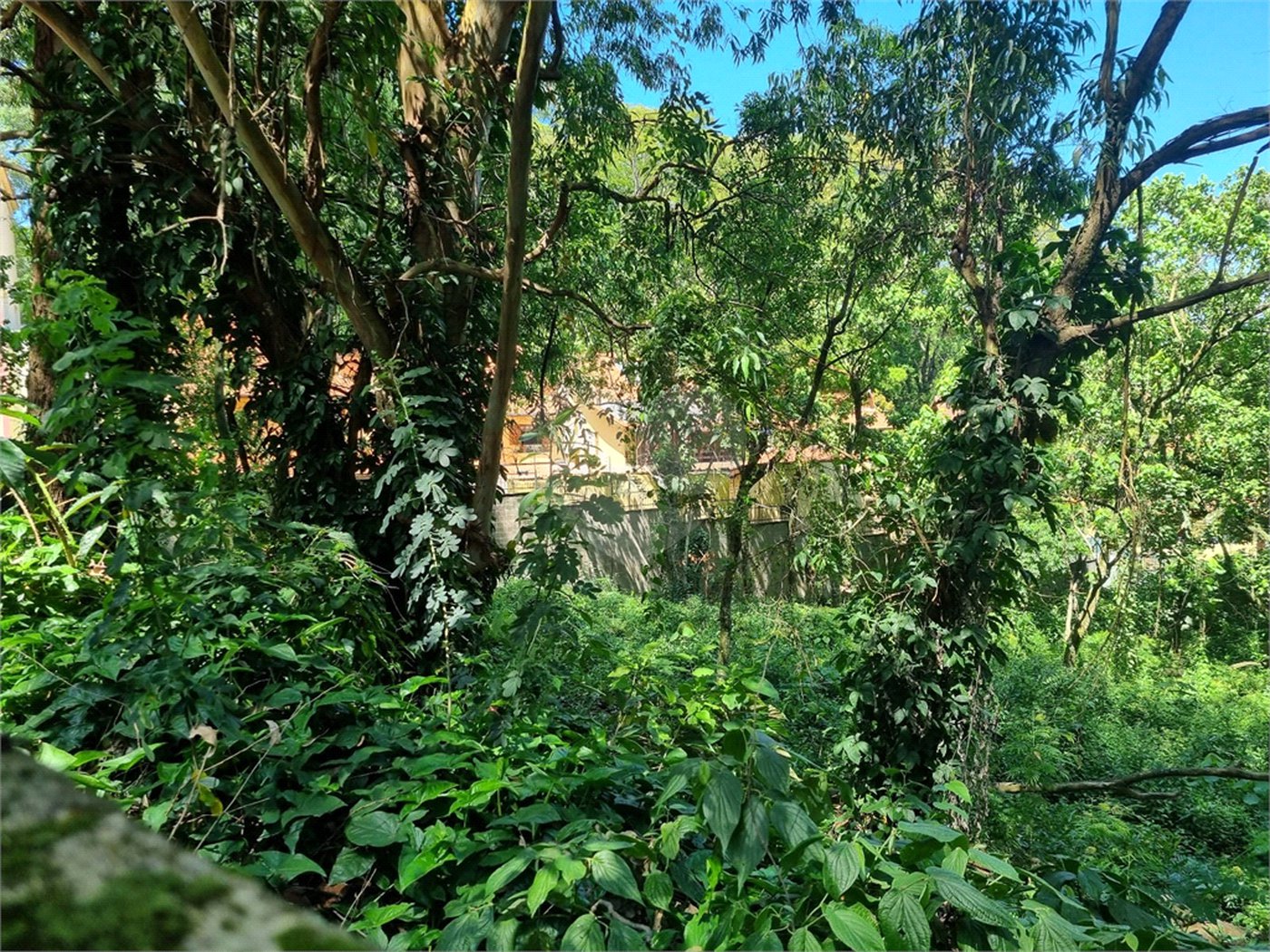 Terreno à venda no condomínio Horto do Ypê, São Paulo - SP