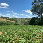 Área de Terra à venda em Cristóvão, Araçoiaba da Serra, SP