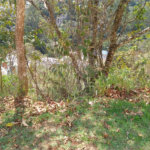 Terreno à venda em Barreiro, Mairiporã, SP