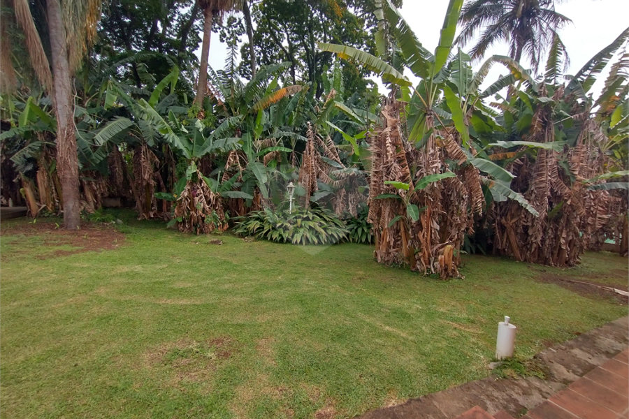 Terreno à venda em Jardim Bela Vista, Guarulhos, SP