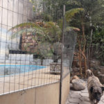 Casa à venda com 2 quartos em Parque Cidade Jardim II, Jundiaí, SP