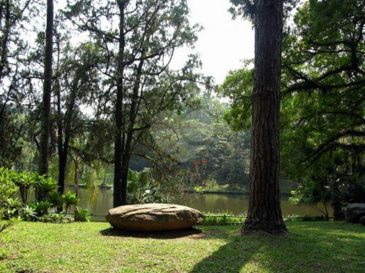 Terreno à venda em Horto Florestal, São Paulo, SP
