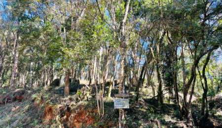 Terreno à venda em Jundiaizinho (terra Preta), Mairiporã, SP