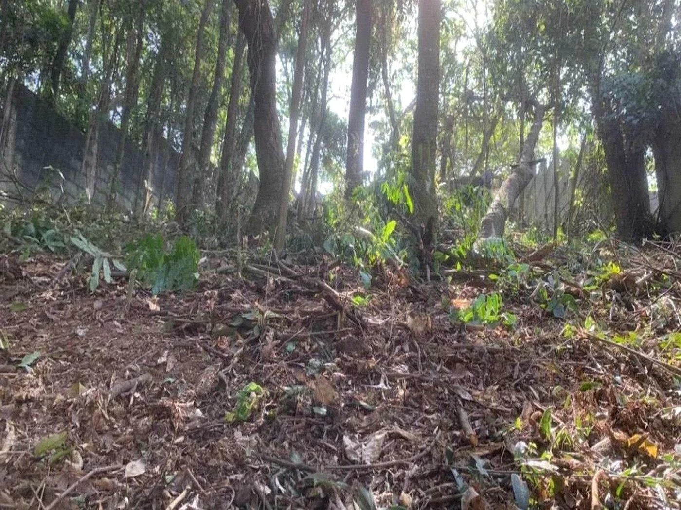 Terreno à venda em Jardim Peri Peri, São Paulo, SP