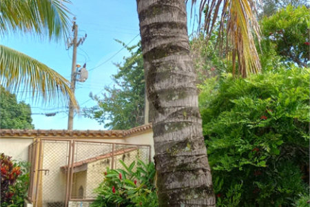 Casa à venda ou para alugar com 5 suítes no condomínio Vilage Zuleika Jabour, Salto - SP