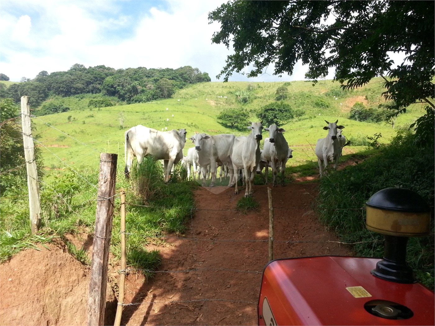 Fazenda com pasto a venda em Morungaba