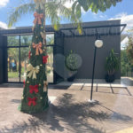 Terreno à venda no Condomínio Park Campestre I