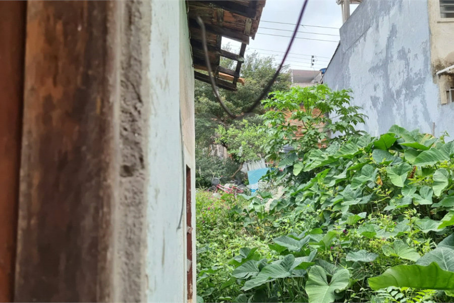 Terreno à venda em Lauzane Paulista, São Paulo, SP