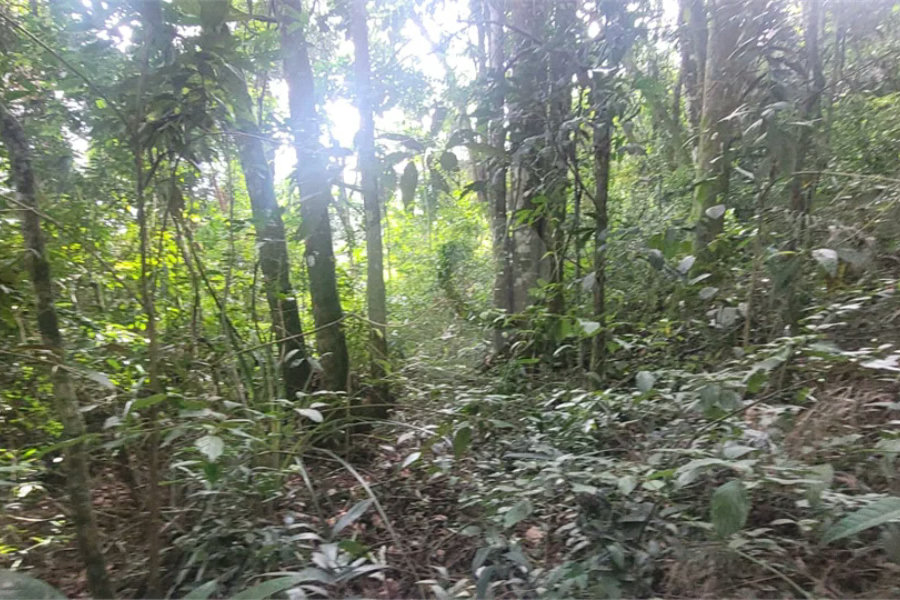 Terreno à venda em Mantiqueira, Mairiporã, SP