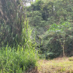 Terreno à venda em Barreiro, Mairiporã, SP