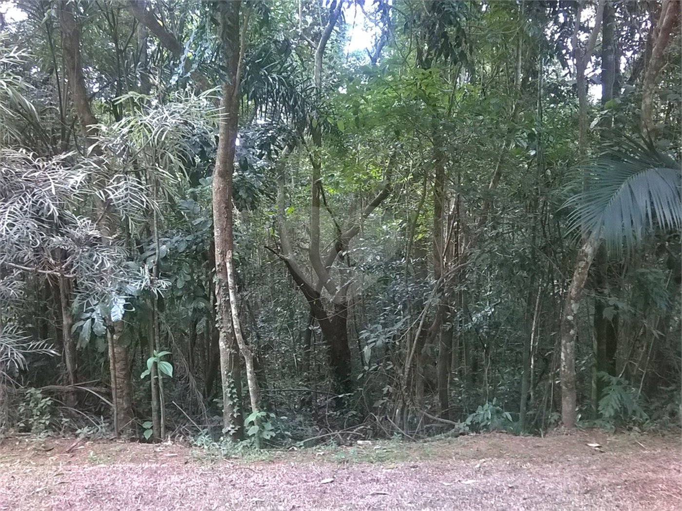 Terreno à venda em Serra da Cantareira, Mairiporã, SP
