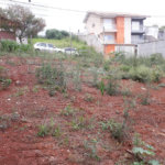 Terreno à venda em Jardim Flórida, São Roque, SP