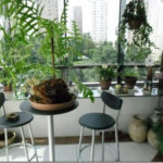 Apartamento à venda com 3 quartos, sendo 1 suíte, em Vila Andrade, São Paulo, SP