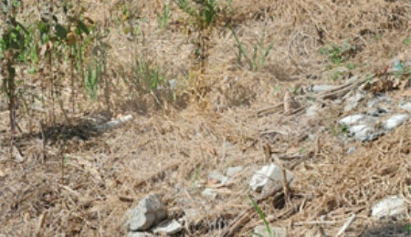 Terreno à venda em Jardim Maristela, Atibaia, SP