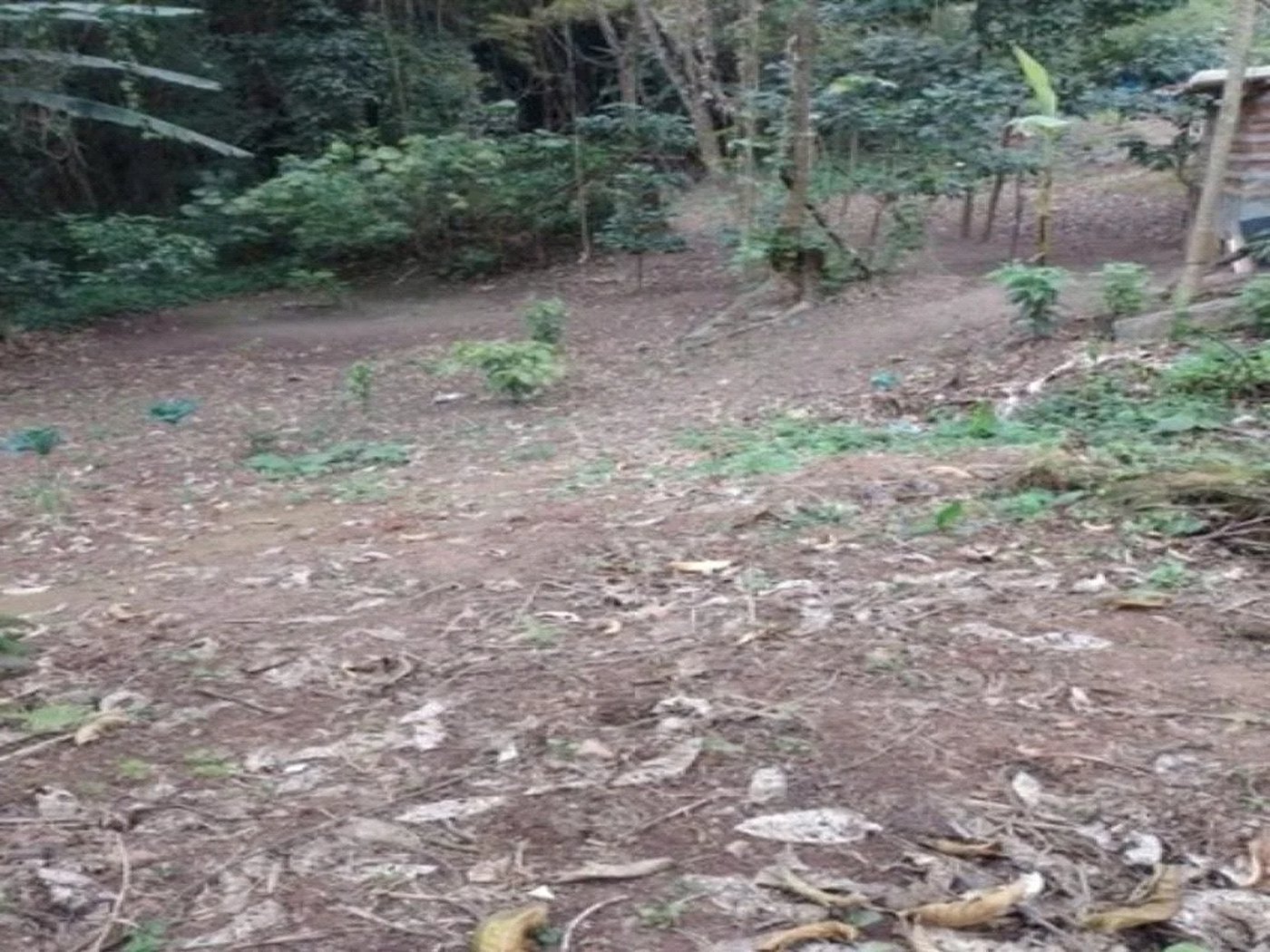 Terreno à venda em Jardim Ampliação, São Paulo, SP