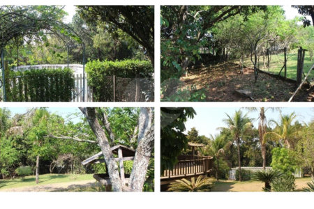 Casa para alugar com 4 suítes no condomínio Vinhas da Vista Alegre - Lado Café, Vinhedo - SP