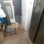 Sobrado à venda com 4 quartos, sendo 2 suítes, em Limão, São Paulo, SP