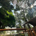 Apartamento à venda com 2 quartos, sendo 1 suíte, em Casa Verde, São Paulo, SP