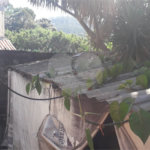 Casa à venda com 3 quartos em Jardim Regina, São Paulo, SP