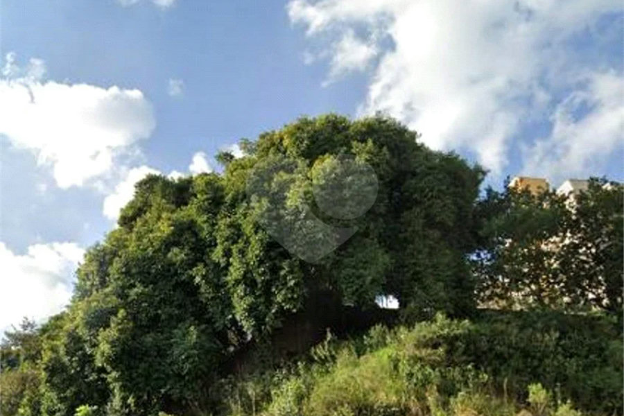 Terreno à venda em Vila Guilherme, São Paulo, SP