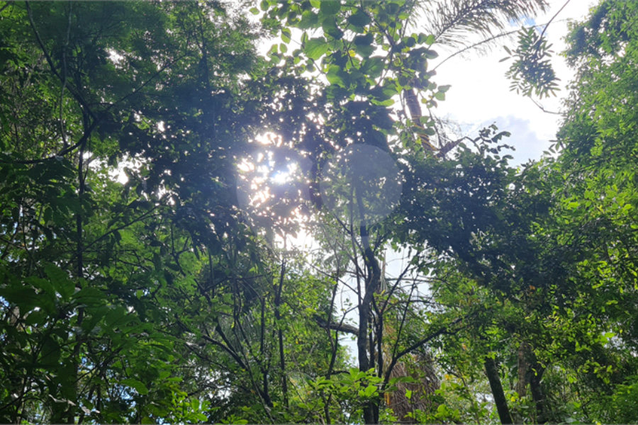 Terreno à venda em Caraguatá, Mairiporã, SP