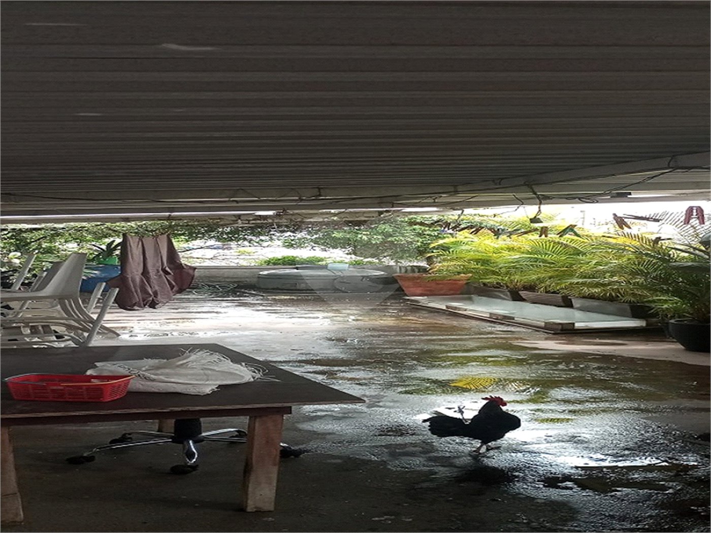 Casa à venda com 3 quartos, sendo 1 suíte,  em Lapa de Baixo, São Paulo, SP