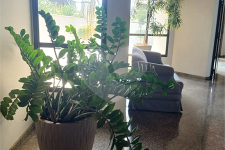 Apartamento à venda com 3 quartos, sendo 1 suíte,  em Vila Redentora, São José do Rio Preto, SP