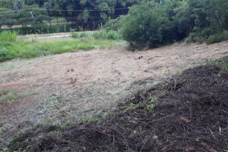Terreno com 453,50 m² de área total.