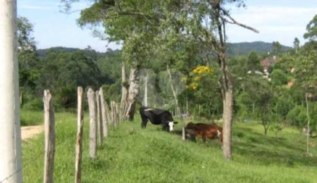 Área de Terra à venda em Alto da Serra (mailasqui), São Roque, SP