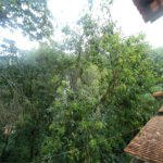 Casa de Vila para alugar com 3 quartos, sendo 1 suíte, em Serra da Cantareira, São Paulo, SP