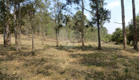Terreno à venda em Cachoeira, Atibaia, SP