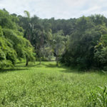Terreno à venda em Horto, São Paulo, SP