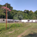 Sítio à venda com 4 quartos, sendo 2 suítes,  em Pimenta, Indaiatuba, SP