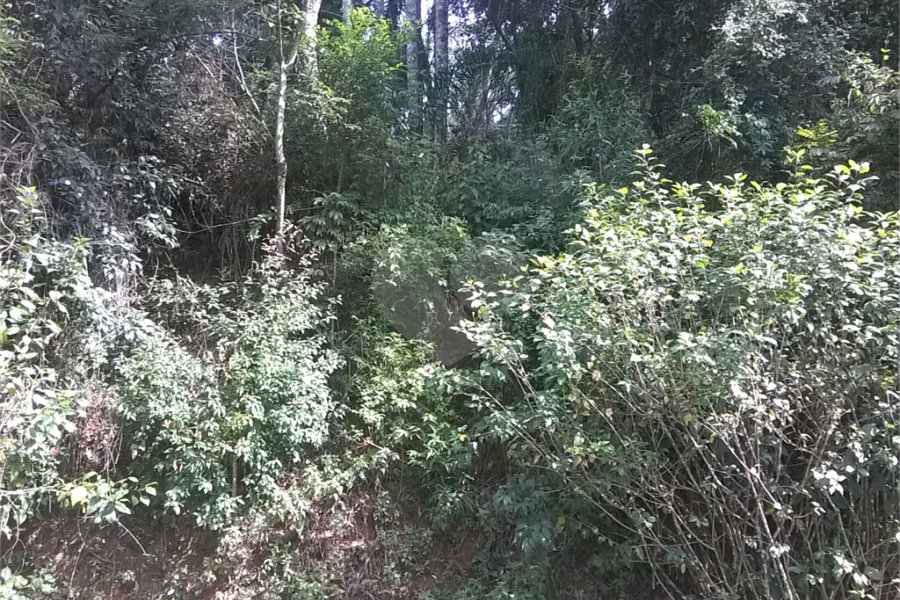 Terreno à venda em Serra da Cantareira, Mairiporã, SP