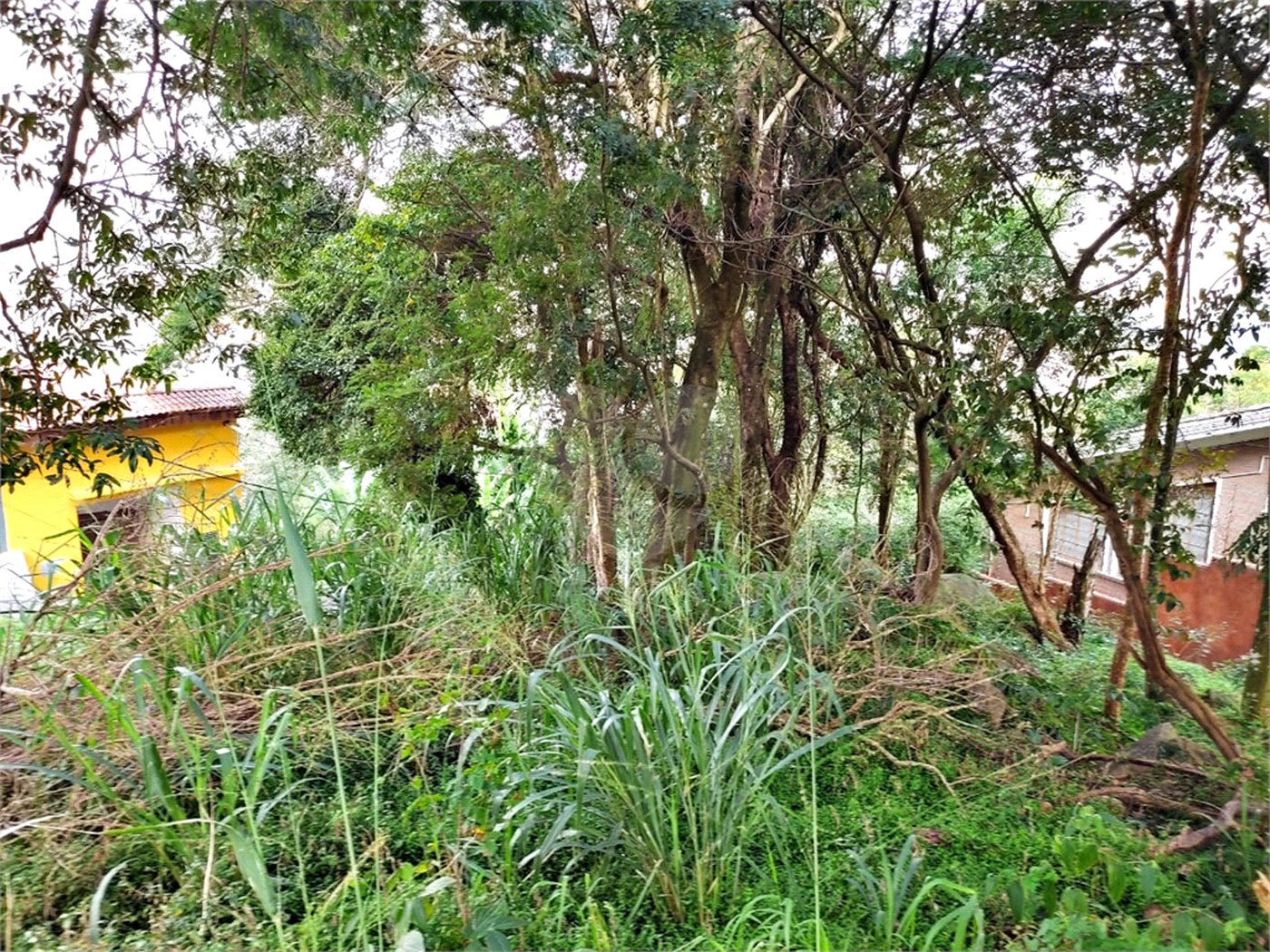 Terreno à venda em Tucuruvi, São Paulo, SP