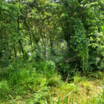Terreno à venda em Rio Acima, Mairiporã, SP