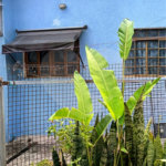 Casa à venda com 6 quartos, sendo 1 suíte, em Tremembé, São Paulo, SP