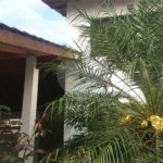 Sobrado à venda com 3 suítes em Jardim Franca, São Paulo, SP