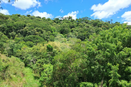 Sítio à venda no Centro, Salesópolis, SP