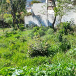 Terreno à venda em Jardim Paulista, Atibaia, SP