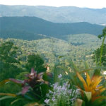 Casa à venda com 3 quartos, sendo 1 suíte, em Serra da Cantareira, Mairiporã, SP