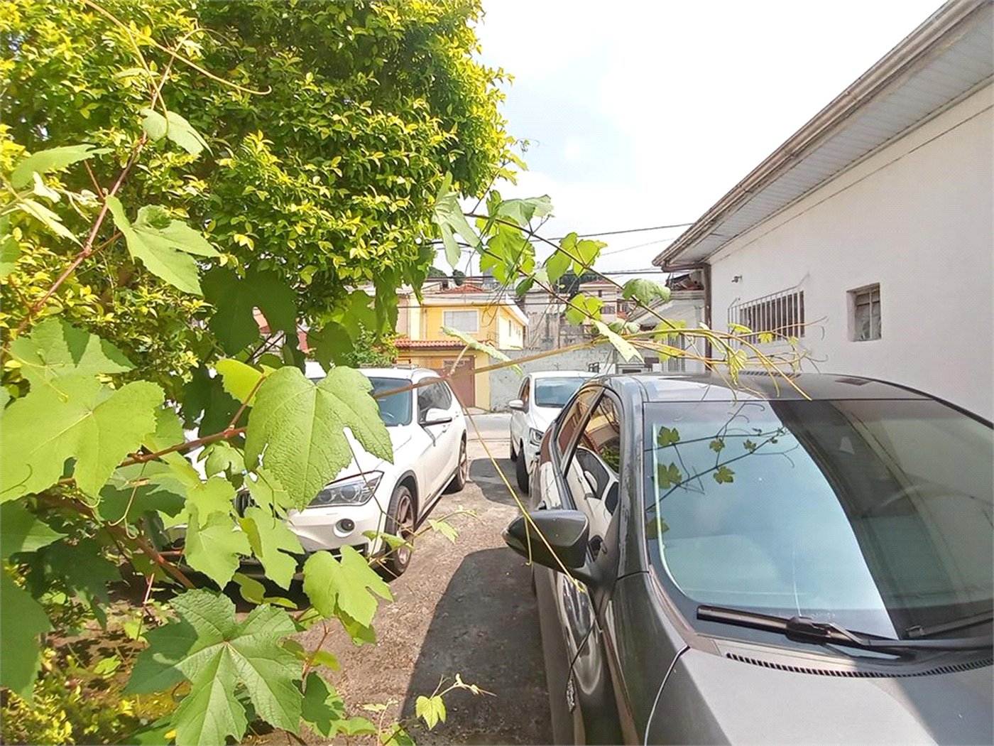 Terreno à venda ou para alugar com 3 quartos em Tucuruvi, São Paulo, SP